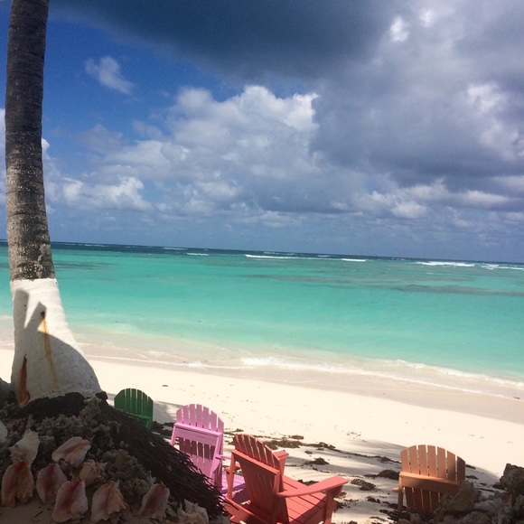 Meet your Posher, Tanya - Picture 1 of 1